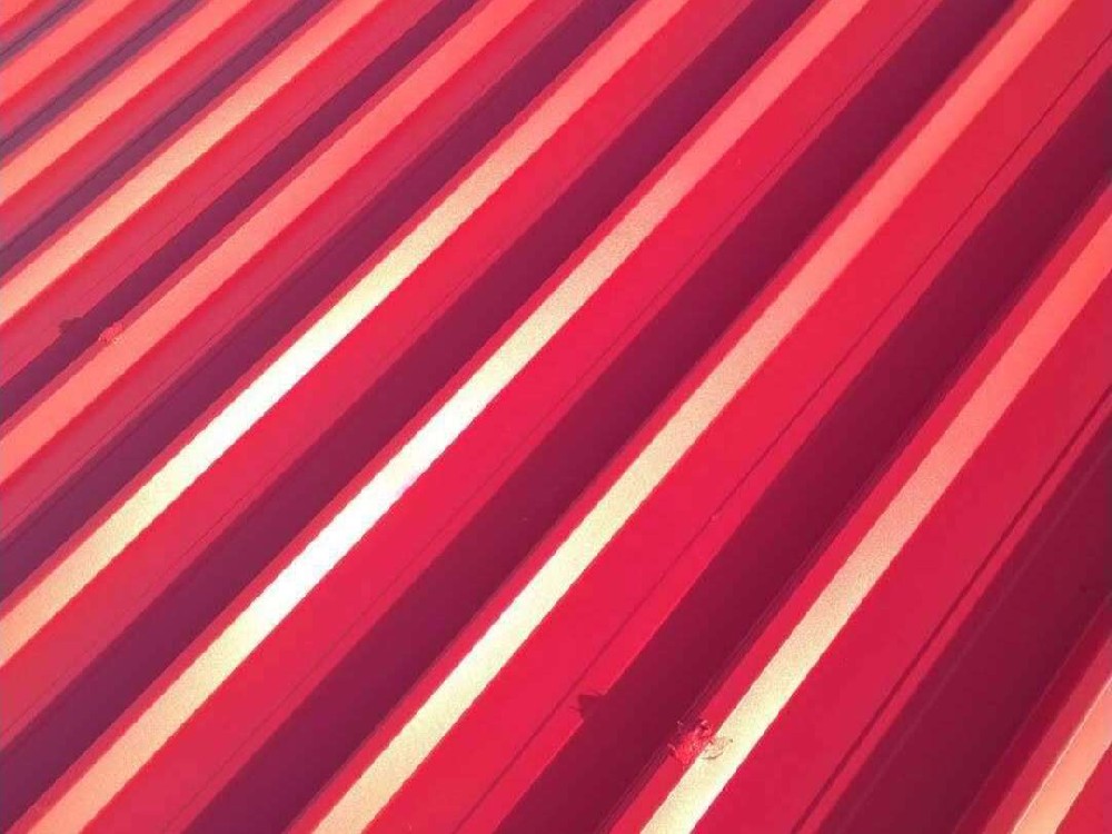 860667587_-326724776_-2126275677.jpg